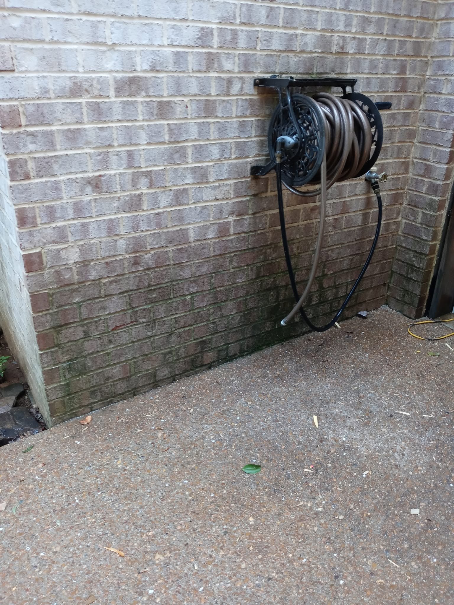 Brick masonry wall with heavy algae buildup before pressure washing